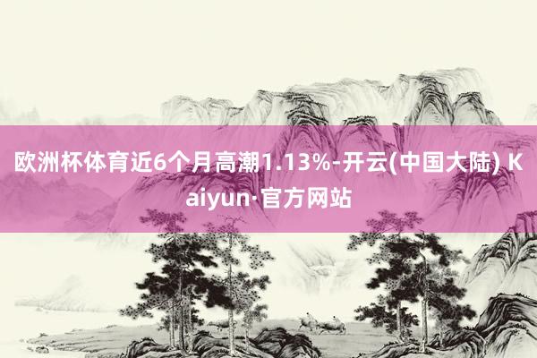 欧洲杯体育近6个月高潮1.13%-开云(中国大陆) Kaiyun·官方网站