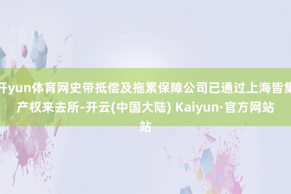 开yun体育网史带抵偿及拖累保障公司已通过上海皆集产权来去所-开云(中国大陆) Kaiyun·官方网站