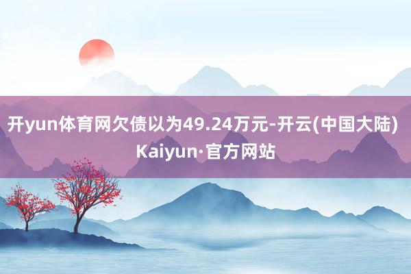 开yun体育网欠债以为49.24万元-开云(中国大陆) Kaiyun·官方网站