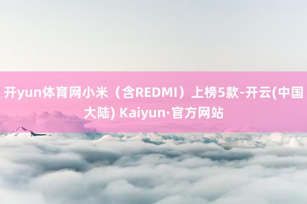 开yun体育网小米（含REDMI）上榜5款-开云(中国大陆) Kaiyun·官方网站