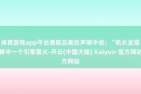 体育游戏app平台　　鹰航总裁在声明中说：“机长发现其中一个引擎冒火-开云(中国大陆) Kaiyun·官方网站