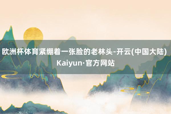 欧洲杯体育紧绷着一张脸的老林头-开云(中国大陆) Kaiyun·官方网站