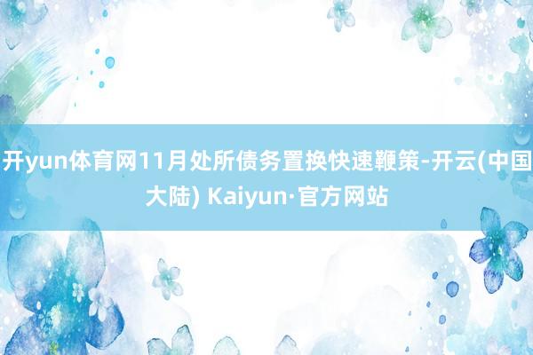 开yun体育网11月处所债务置换快速鞭策-开云(中国大陆) Kaiyun·官方网站