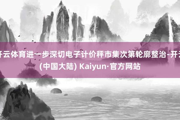 开云体育进一步深切电子计价秤市集次第轮廓整治-开云(中国大陆) Kaiyun·官方网站