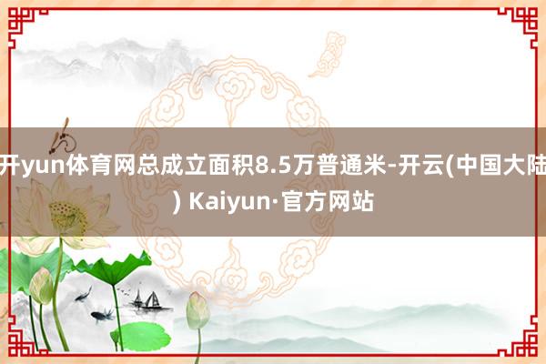 开yun体育网总成立面积8.5万普通米-开云(中国大陆) Kaiyun·官方网站