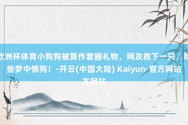 欧洲杯体育小狗狗被算作套圈礼物，网友救下一只，险些梦中情狗！-开云(中国大陆) Kaiyun·官方网站