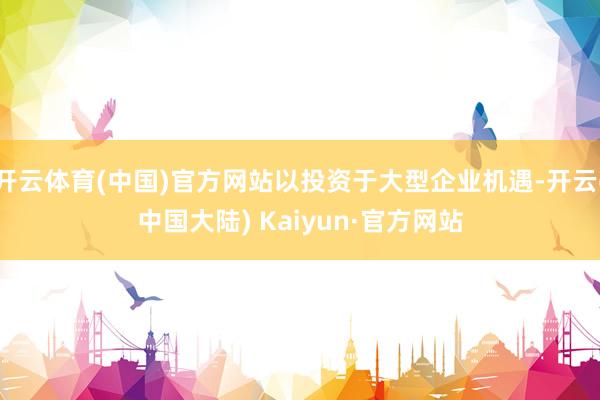 开云体育(中国)官方网站以投资于大型企业机遇-开云(中国大陆) Kaiyun·官方网站