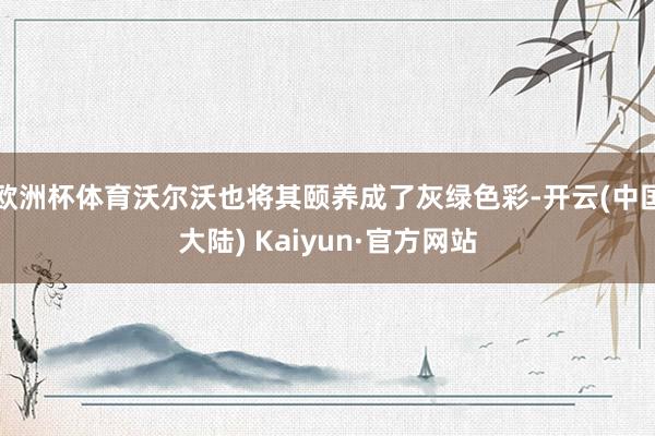 欧洲杯体育沃尔沃也将其颐养成了灰绿色彩-开云(中国大陆) Kaiyun·官方网站