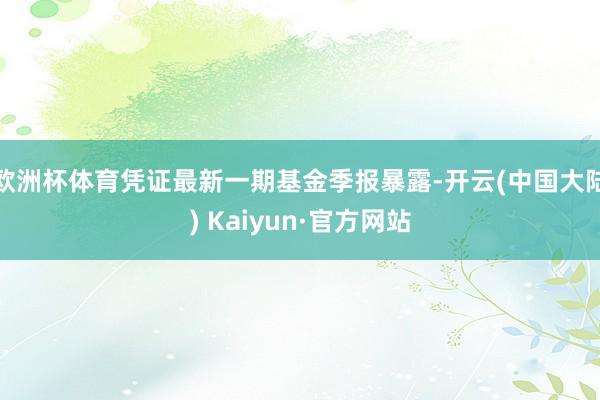 欧洲杯体育凭证最新一期基金季报暴露-开云(中国大陆) Kaiyun·官方网站